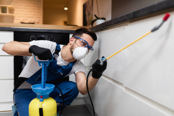Trusted Templeton, CA Pest Control Experts