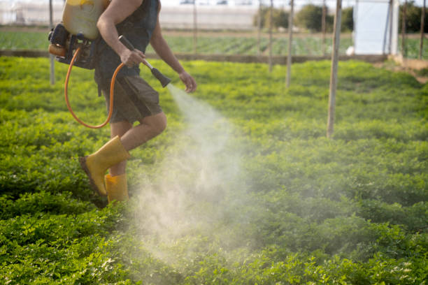 Wildlife Control Services in Templeton, CA