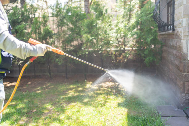 Best Best Pest Control Companies  in Templeton, CA