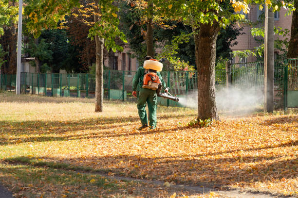 Best Affordable Pest Control Services  in Templeton, CA