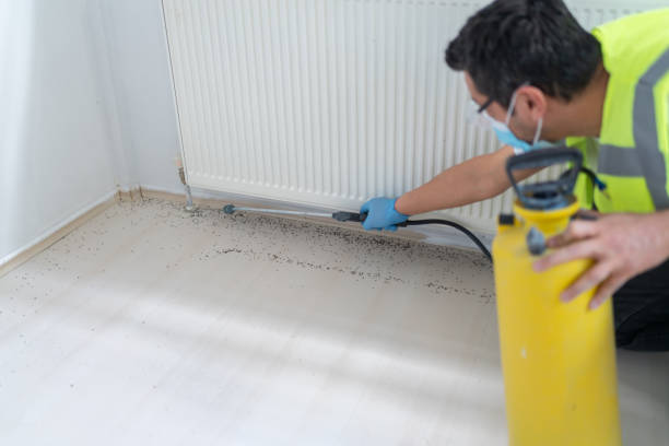 Flea Control Services in Templeton, CA